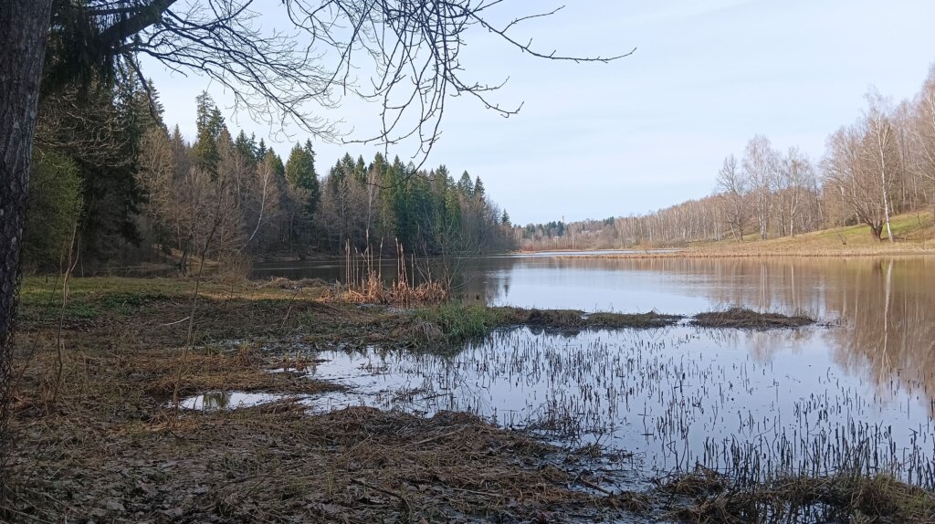 Музей-заповедник Абрамцево. Усадьба Саввы Мамонтова.
